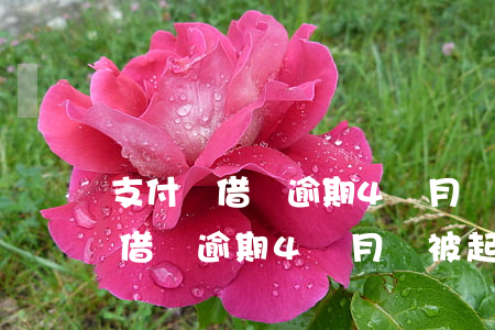 支付寶借唄逾期4個月會被起訴嗎-支付寶借唄逾期4個月會被起訴嗎知乎
