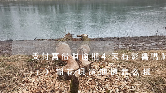 支付寶借唄逾期4天有影響嗎（肺炎時(shí)期花唄逾期還怎么樣）