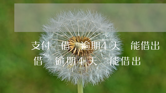 支付寶借唄逾期4天還能借出來嗎-支付寶借唄逾期4天還能借出來嗎
