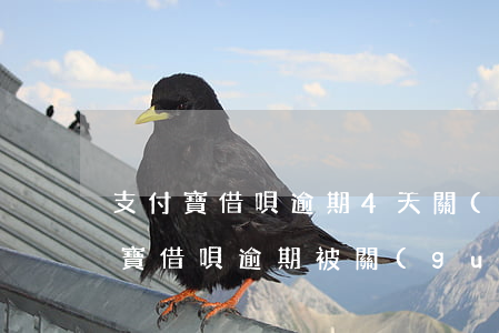 支付寶借唄逾期4天關(guān)閉(支付寶借唄逾期被關(guān)閉了怎么樣才能重新使用)