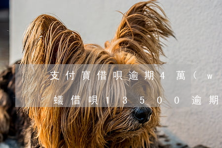 支付寶借唄逾期4萬(wàn)罰息多少 螞蟻借唄13500逾期3個(gè)月罰息多少