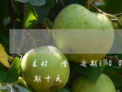 支付寶借唄逾期500天(支付寶花唄借唄逾期十天)