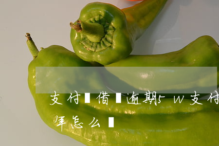 支付寶借唄逾期5w 支付寶借唄逾期5萬3年怎么樣