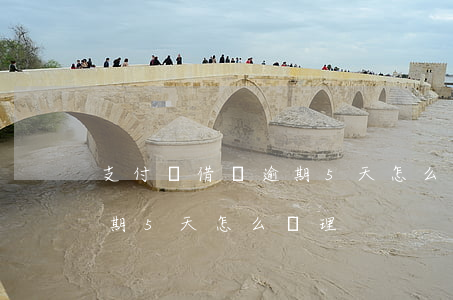 支付寶借唄逾期5天怎么辦-支付寶借唄逾期5天怎么辦理