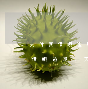 支付寶借唄逾期5天會有什么后果-支付寶借唄逾期5天會有什么后果?,有獎問答