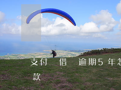 支付寶借唄逾期5年怎么協(xié)商還款