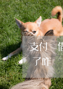支付寶借唄逾期5年(支付寶借唄逾期一年多了咋辦)