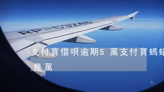 支付寶借唄逾期5萬（支付寶螞蟻借唄逾期十幾萬）