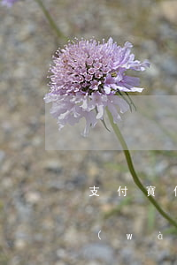 支付寶借唄逾期6w-支付寶借唄逾期6萬(wàn)會(huì)起訴嗎