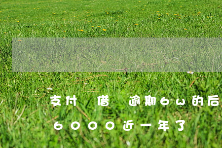 支付寶借唄逾期6w的后果(支付寶借唄逾期6000近一年了)