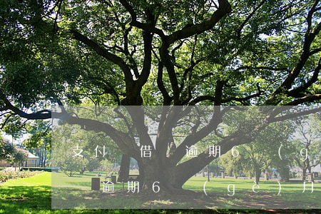 支付寶借唄逾期6個(gè)月-支付寶借唄逾期6個(gè)月未還會(huì)被起訴嗎?