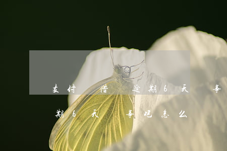 支付寶借唄逾期6天沒事吧-支付寶借唄逾期6天沒事吧怎么辦