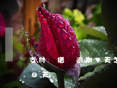 支付寶借唄逾期7天怎么辦(借唄不小心逾期8天)