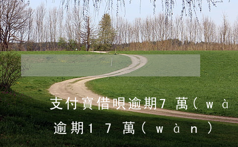 支付寶借唄逾期7萬(wàn)的后果(借唄逾期17萬(wàn))