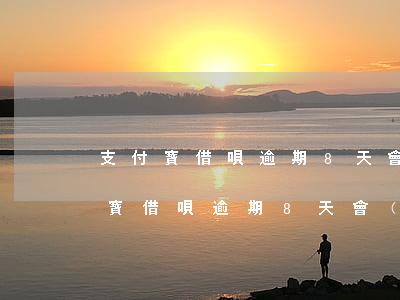 支付寶借唄逾期8天會(huì)怎樣(支付寶借唄逾期8天會(huì)怎樣)