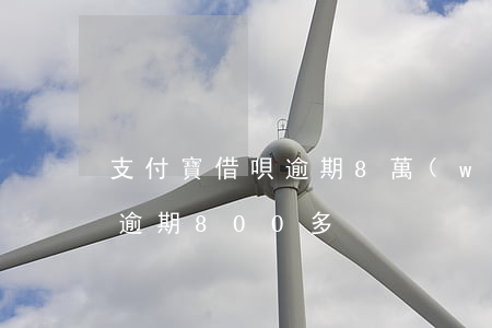 支付寶借唄逾期8萬(wàn)（支付寶借唄逾期800多）