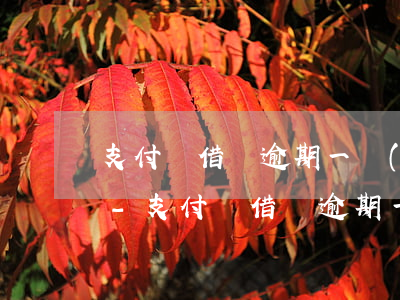支付寶借唄逾期一個(gè)星期說要上門-支付寶借唄逾期一個(gè)星期說要上門是真的嗎