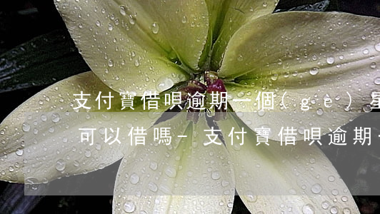 支付寶借唄逾期一個(gè)星期還回去還可以借嗎-支付寶借唄逾期一個(gè)星期還回去還可以借嗎
