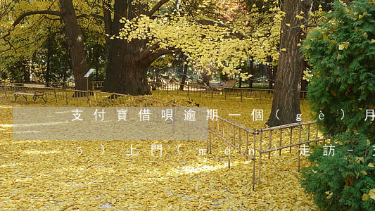 支付寶借唄逾期一個(gè)月說(shuō)上門(mén)走訪-支付寶借唄逾期一個(gè)月說(shuō)上門(mén)走訪是真的嗎