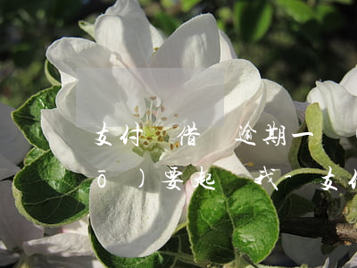 支付寶借唄逾期一個(gè)月說(shuō)要起訴我-支付寶借唄逾期一個(gè)月說(shuō)要起訴我是真的嗎