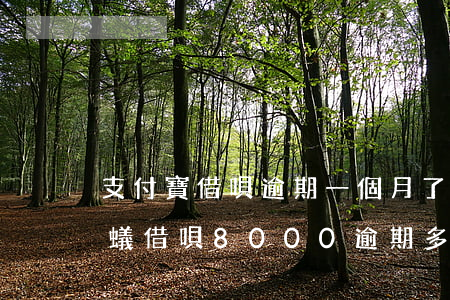 支付寶借唄逾期一個月了,被起訴后會怎樣（螞蟻借唄8000逾期多久會被起訴）