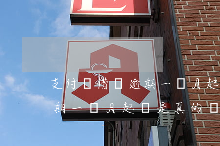 支付寶借唄逾期一個月起訴-支付寶借唄逾期一個月起訴是真的嗎