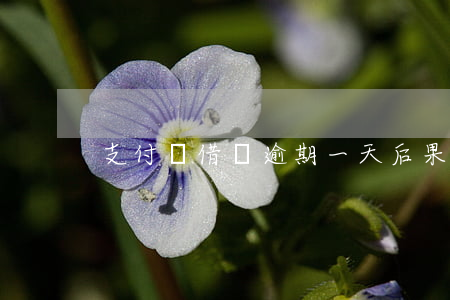 支付寶借唄逾期一天后果
