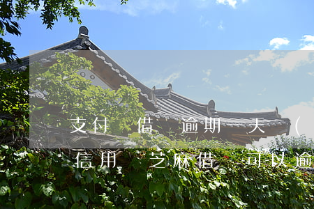 支付寶借唄逾期一天會(huì)影響芝麻信用嗎（芝麻借唄可以逾期幾天）