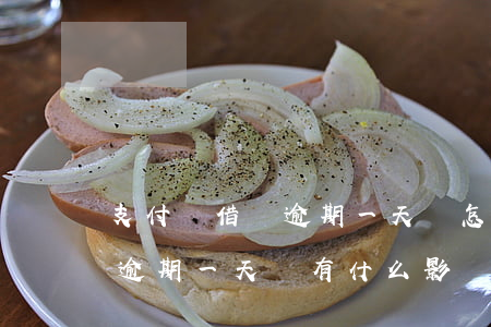支付寶借唄逾期一天會怎樣(支付寶借唄可以逾期一天還有什么影響嗎)