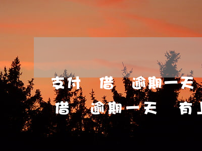 支付寶借唄逾期一天會有上征信嗎-支付寶借唄逾期一天會有上征信嗎知乎