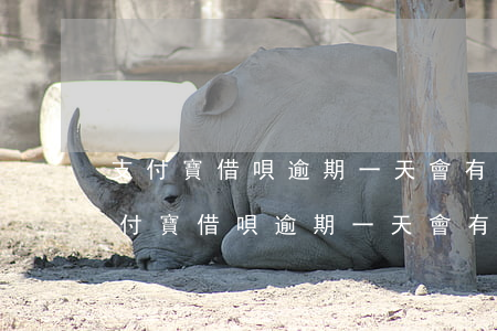 支付寶借唄逾期一天會有什么后果知乎-支付寶借唄逾期一天會有什么后果知乎嗎