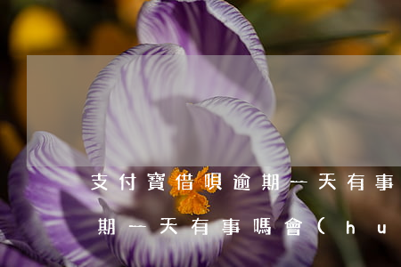支付寶借唄逾期一天有事嗎-支付寶借唄逾期一天有事嗎,會(huì)影響征信嗎