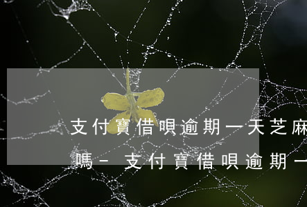 支付寶借唄逾期一天芝麻分會(huì)降嗎-支付寶借唄逾期一天會(huì)影響芝麻信用嗎