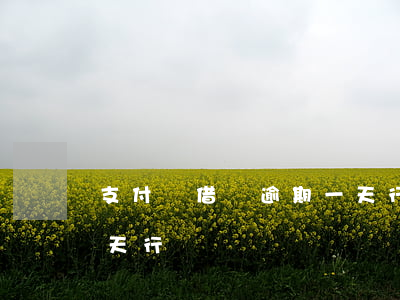 支付寶借唄逾期一天行嗎(支付寶借唄逾期一天行嗎)