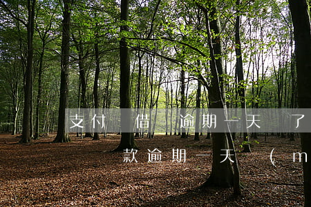 支付寶借唄逾期一天還了有影響嗎(支付寶借唄還款逾期一天沒(méi)事嗎)