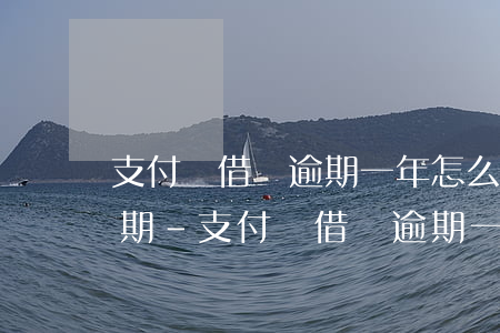 支付寶借唄逾期一年怎么協(xié)商延期-支付寶借唄逾期一年怎么協(xié)商延期還款