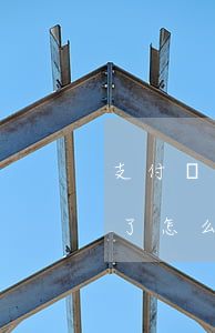 支付寶借唄逾期一年怎么辦(借唄逾期一年多了怎么處理)
