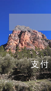 支付寶借唄逾期一般多久(借唄 逾期多久)