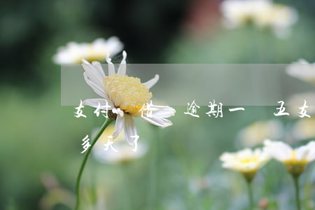 支付寶借唄逾期一萬五(支付寶借唄逾期五百多天了)