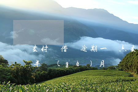 支付寶借唄逾期一萬六(支付寶借唄逾期五千半個(gè)月)