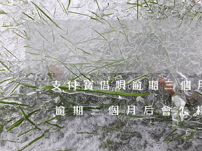 支付寶借唄逾期三個月會立案嗎(支付寶借唄逾期三個月后會怎樣)