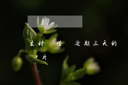 支付寶借唄逾期三天的圖片-借唄逾期3天圖片