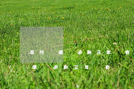 支付寶借唄逾期三年還有機會開嗎-支付寶借唄逾期三年還有機會開嗎安全嗎