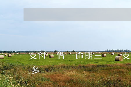 支付寶借唄逾期三萬-支付寶借唄逾期三萬多