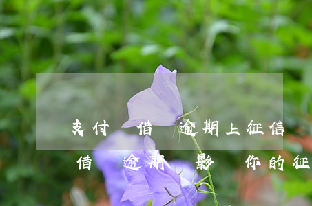 支付寶借唄逾期上征信會怎么樣，當心！支付寶借唄逾期將影響你的征信記錄
