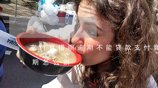 支付寶借唄逾期不能貸款(支付寶借唄欠款逾期怎么辦?)