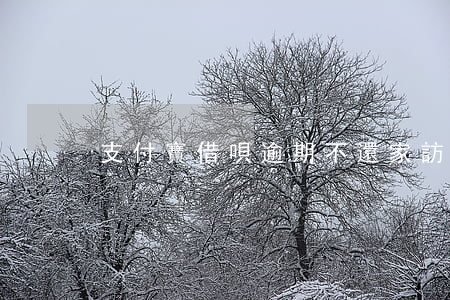 支付寶借唄逾期不還家訪