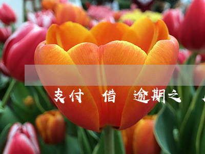 支付寶借唄逾期之個月嚴重嗎