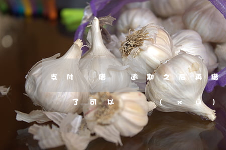 支付寶借唄逾期之后再借(支付寶借唄逾期了還了可以繼續(xù)使用嗎)