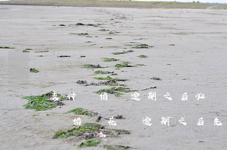 支付寶借唄逾期之后必須一次性償還嗎（支付寶借唄花唄逾期之后先還哪個）